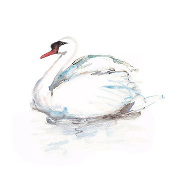 354x354 Swan Watercolor Painting Art Animal Zen