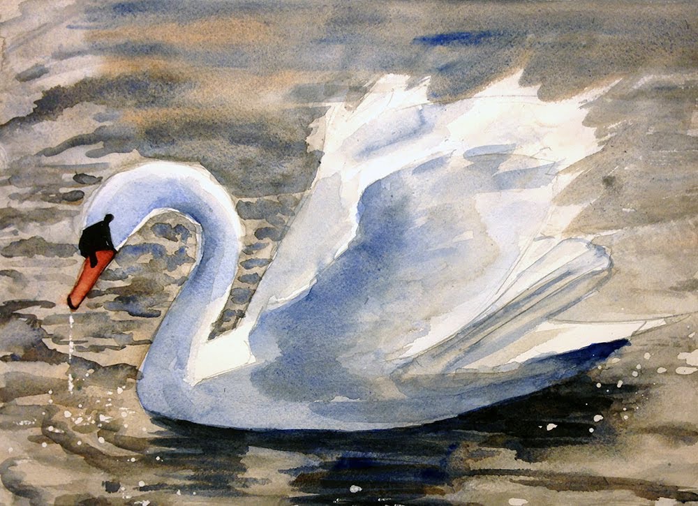 1000x725 Thirsty Swan
