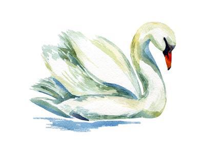 400x300 Watercolor Swan Art Print By Tanycya