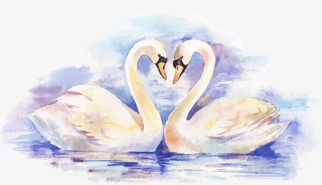 650x374 Beautiful Watercolor Swan, Watercolor Vector, Watercolor, Swan Png