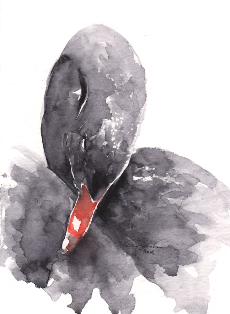 733x1000 Black Swan Watercolor Painting