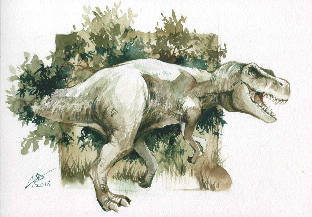 1070x746 Tyrannosaurus Rex Watercolor By Chuaenghan