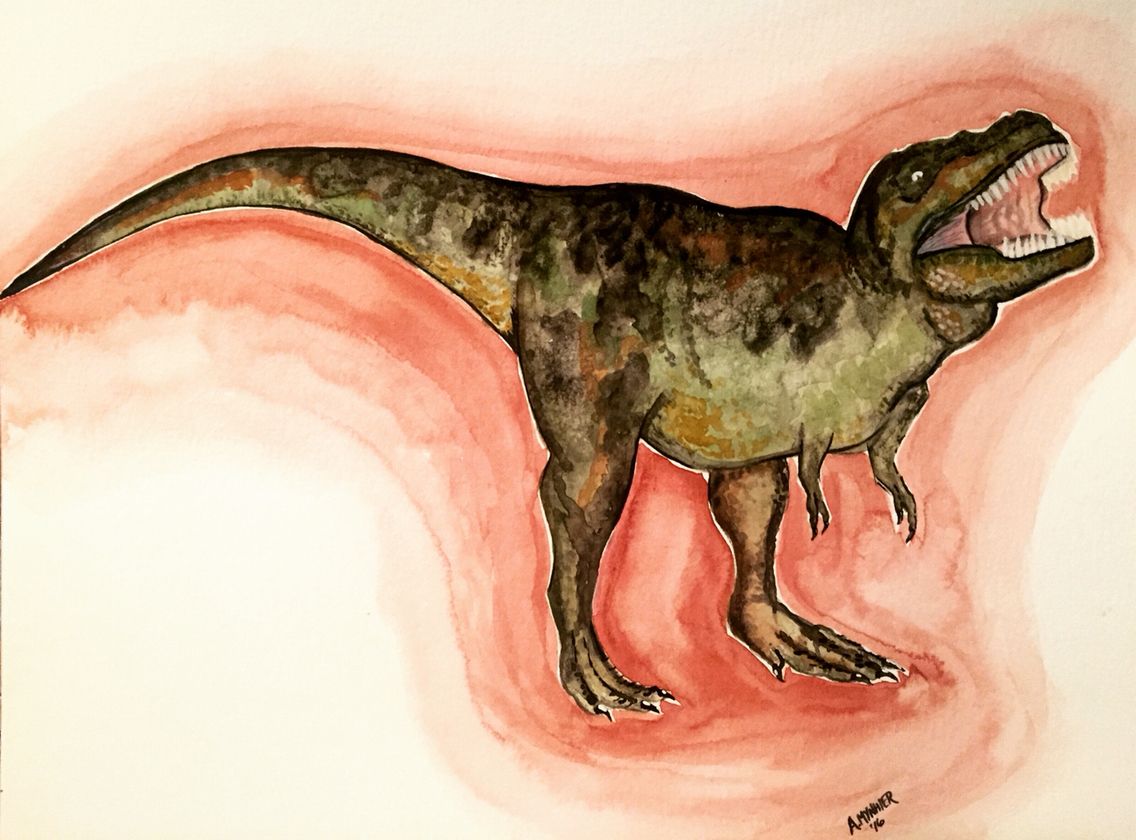 1136x840 Dinosaur, T Rex, Watercolor, Art, Painting, A.mynhier Watercolor