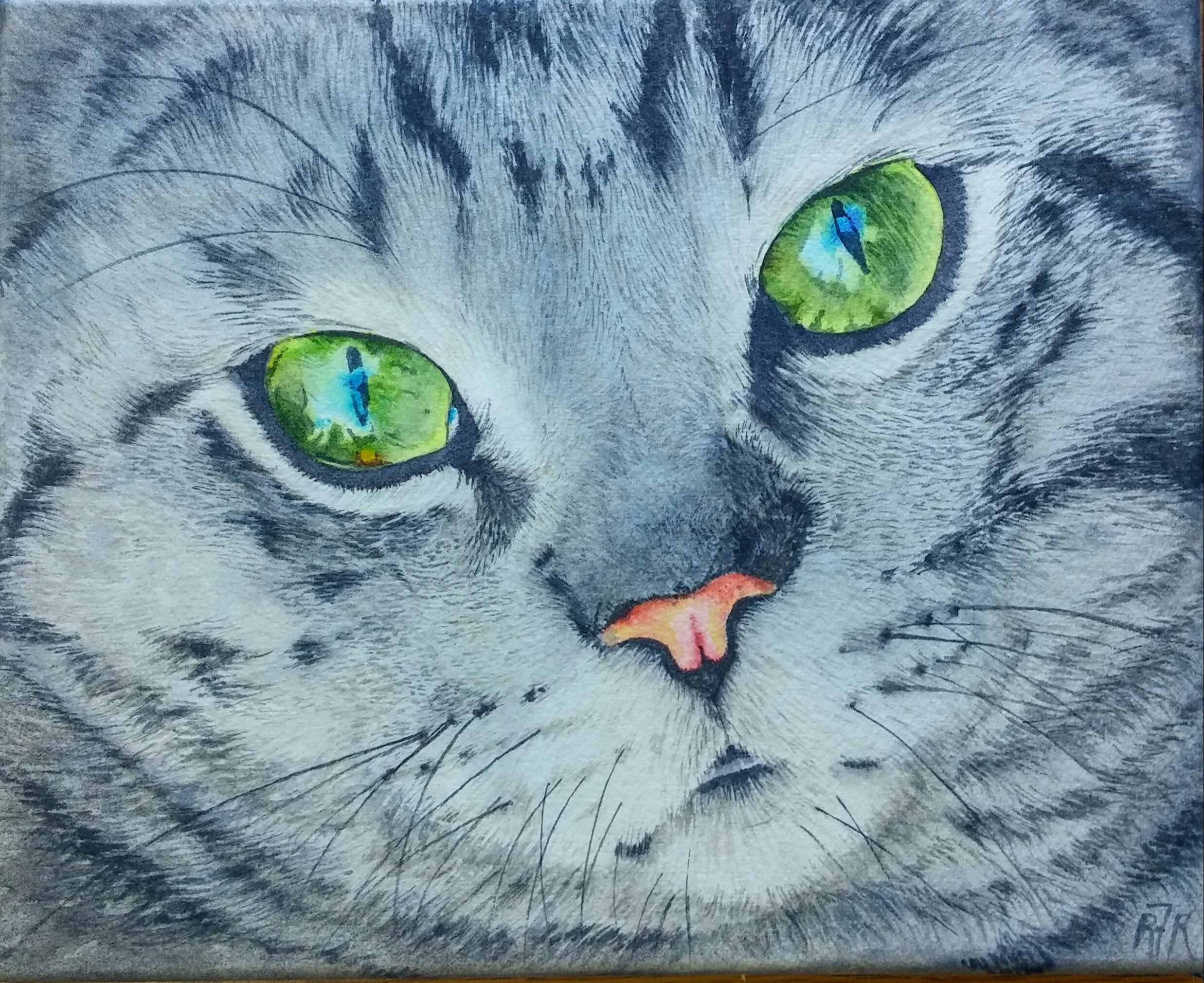 2475x2020 How To Paint A Realistic Grey Striped Cat In Watercolor