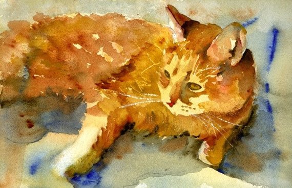 570x368 Orange Ginger Tabby Cat Watercolor Painting Cat Art Cat Etsy