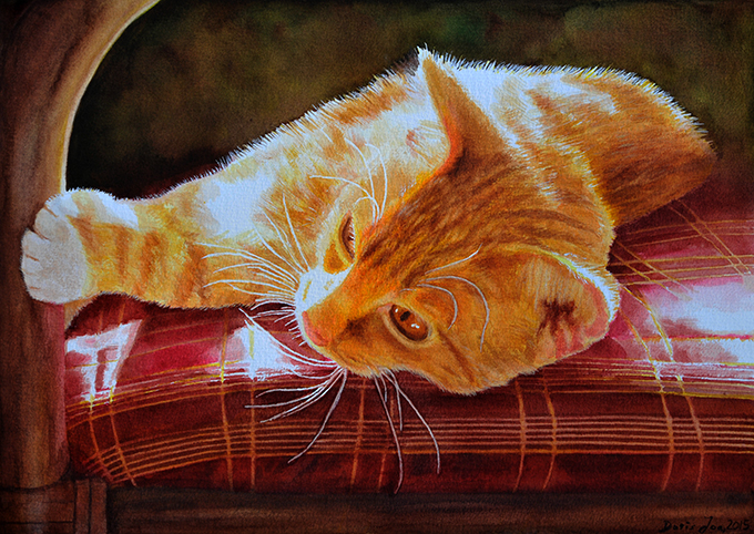 680x482 Red Cat On Red Chair Watercolor Amp Oil Paintings Of Roses And