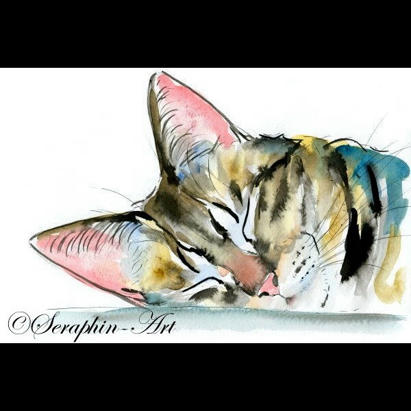 600x600 Tabby Cat Watercolor Painting 2011 08 087 Seraphin Art
