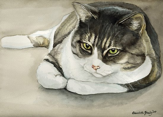 550x395 Tubby Tabby Cat Watercolor Painting Posters By Charlotte Yealey