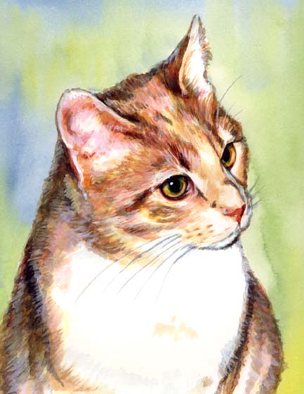 432x559 Watercolor Cat Paintings By Carol Wells