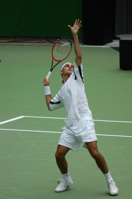 425x640 Roger Federer Tennis Star Watercolor Inkjet Fabric Poster 20x13