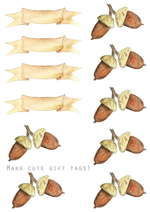 570x807 Thanksgiving Watercolor Clipart Diy Menu Cards Gift Tags Recipe