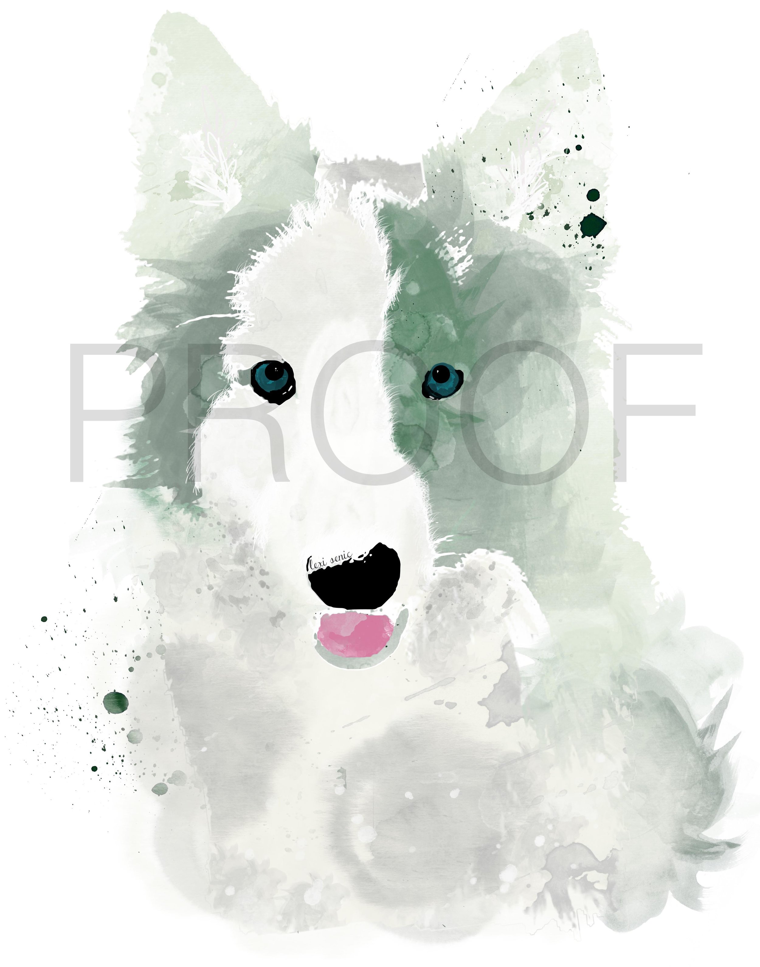 2500x3182 Border Collie Watercolor Dog Portrait Thor Free In The Lines
