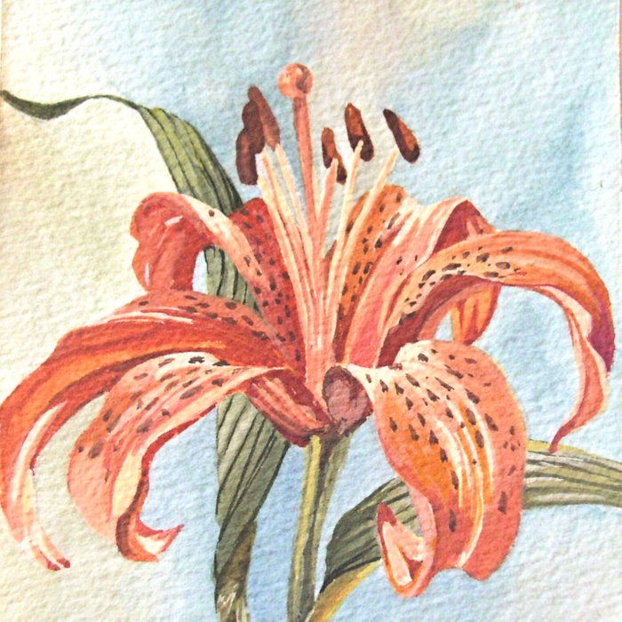 700x700 Orange Tiger Lily Watercolor Painting Duvet Cover By