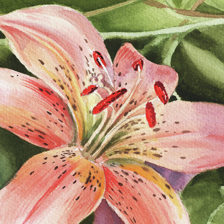 900x900 Tiger Lily Close Up Painting By Irina Sztukowski