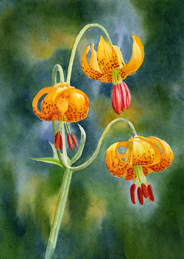 640x900 Tiger Lily Paintings Fine Art America