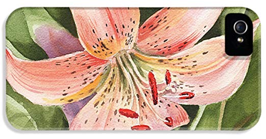 522x273 Iphone 5s Slim Case Tiger Lily Watercolor By Irina