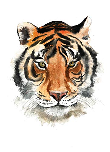 Tiger Painting Watercolor