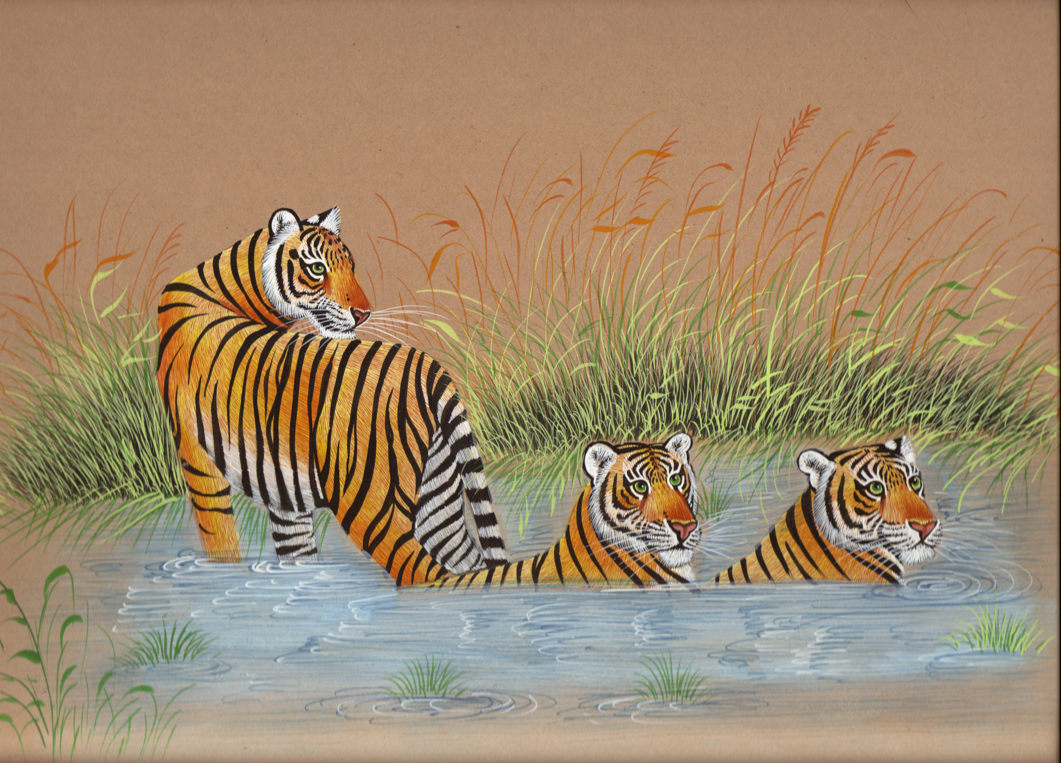 3507x2522 Royal Bengal Tiger Art Hand Painted Indian Wild Life Nature