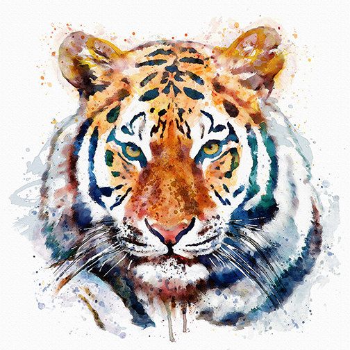 504x504 Tiger Head Instant Download Watercolor Painting Animal Portrait