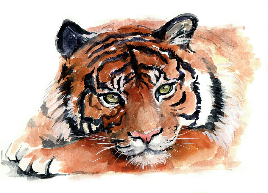 900x649 Watercolor Tiger Painting By Tatyana Komtsyan