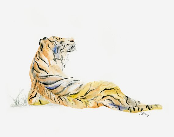 570x448 Modern Tiger Watercolor Tiger Giclee Print Wild Animal Etsy