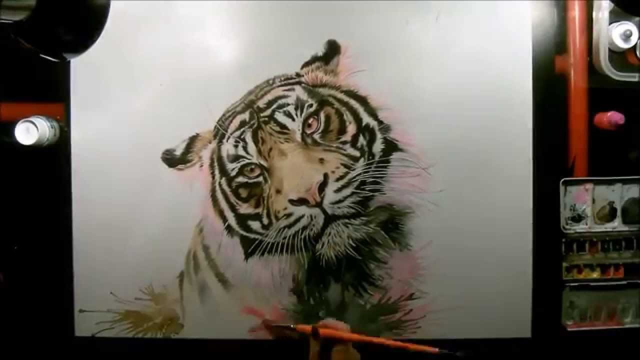 1280x720 Speed Drawing Tiger Watercolor