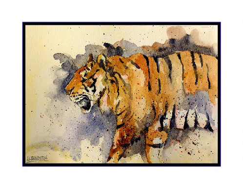 498x384 Tiger Watercolor Note Cards