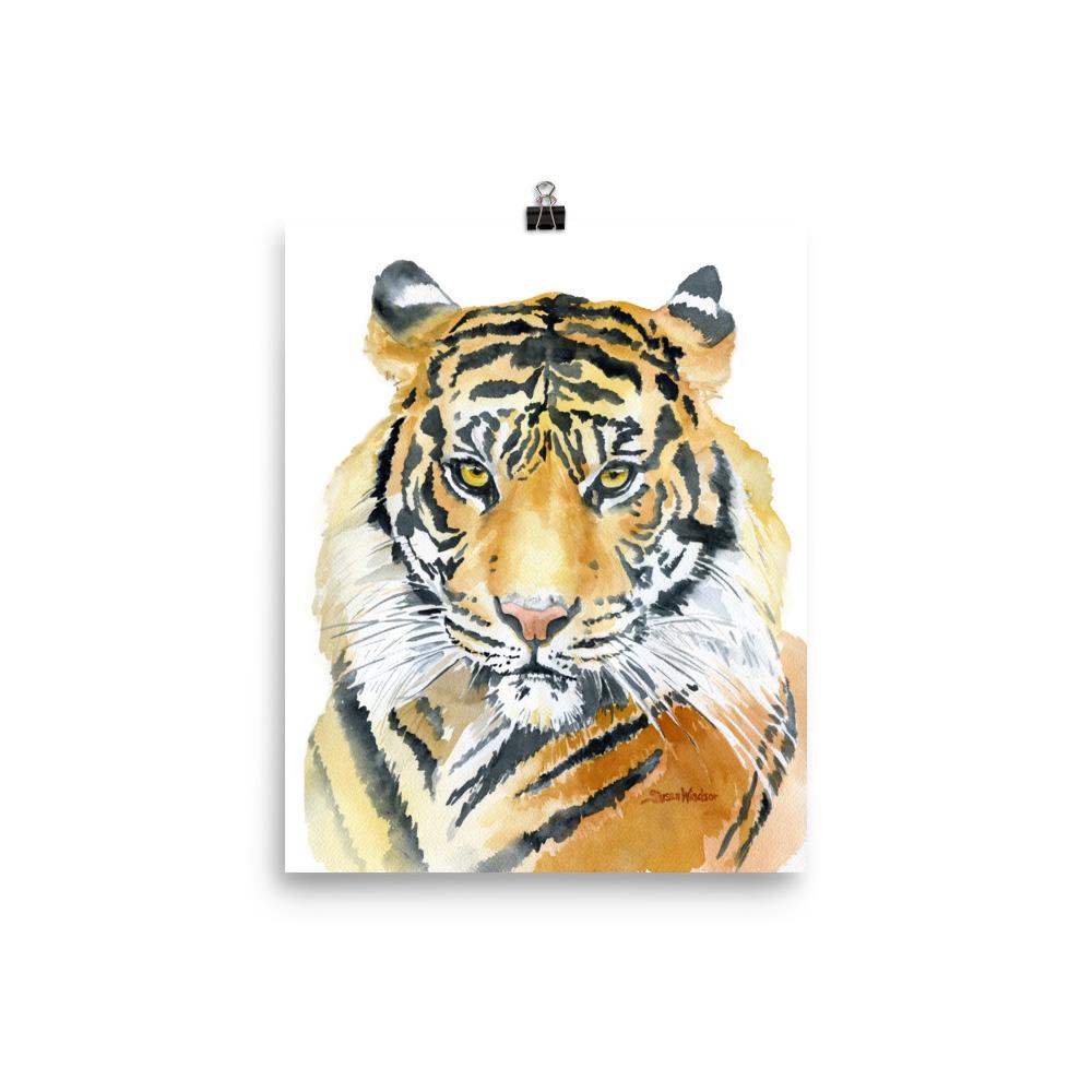 1000x1000 Tiger Watercolor Susan Windsor