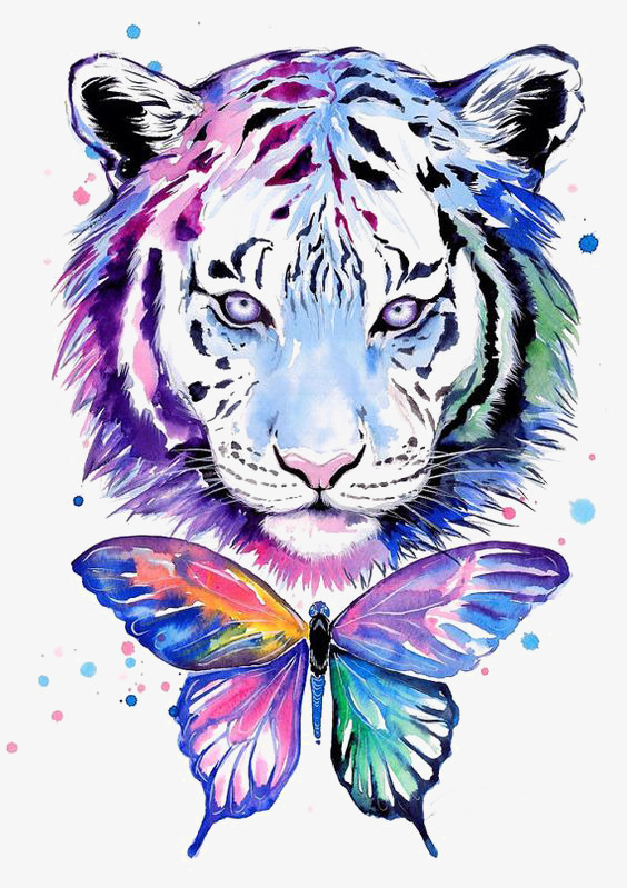 564x799 Watercolor Tiger Png Images Vectors And Psd Files Free
