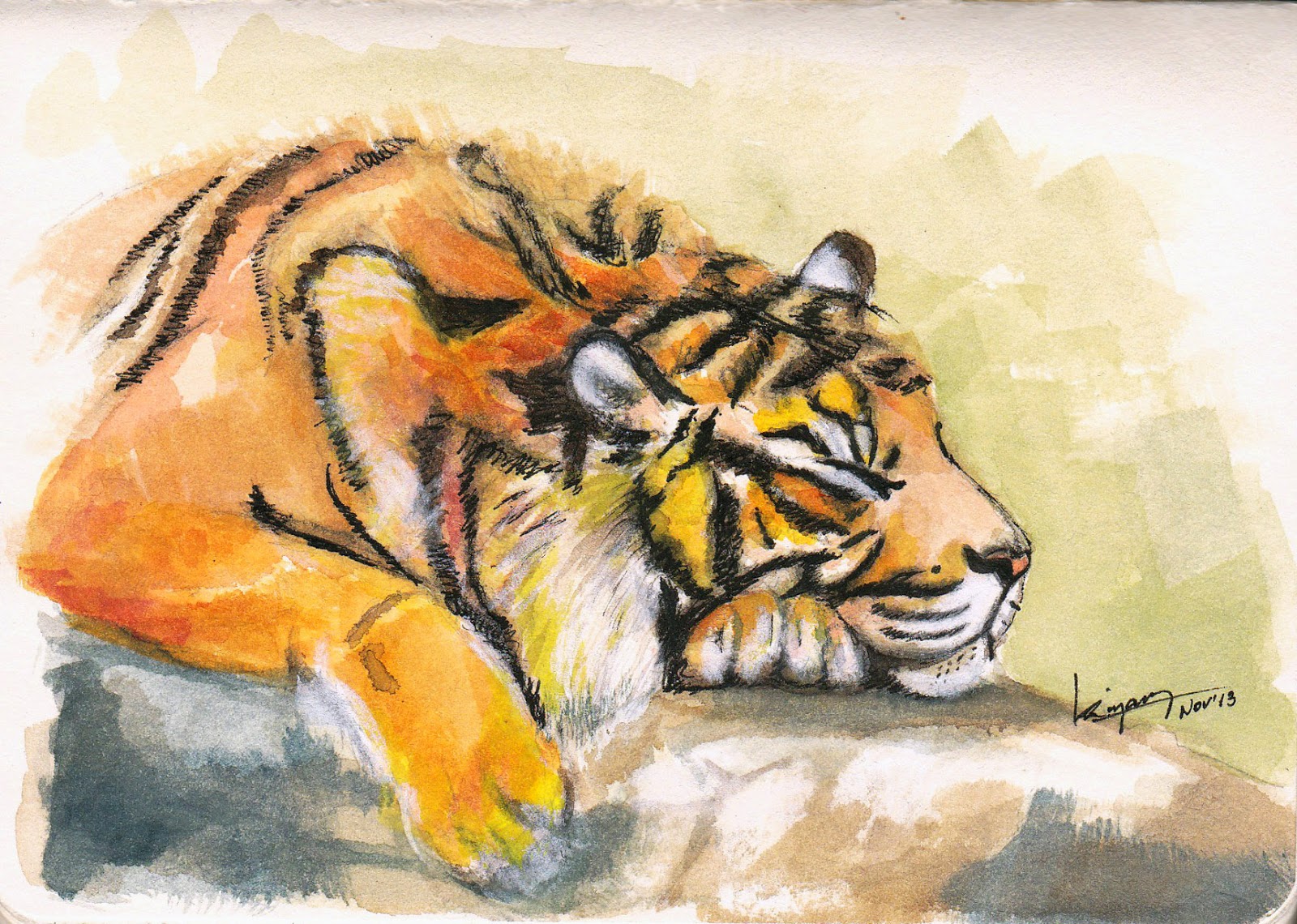 1600x1140 Kiyary. Resting Tiger Watercolor