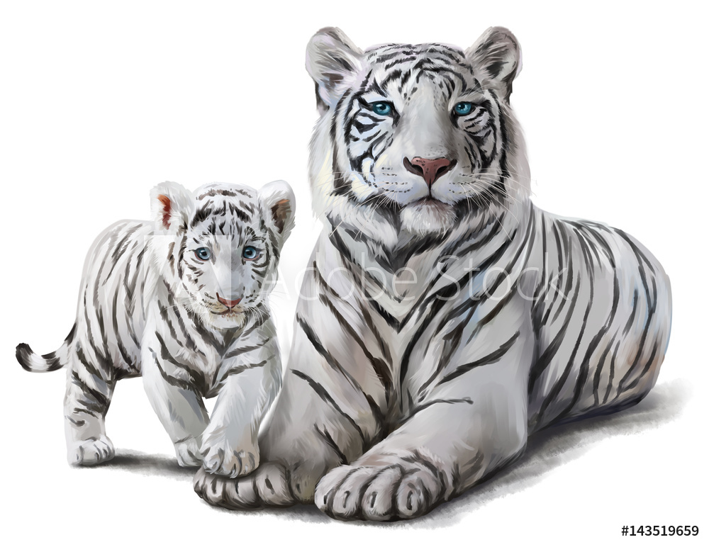 1000x772 Photo Amp Art Print White Tigers Watercolor Painting Europosters