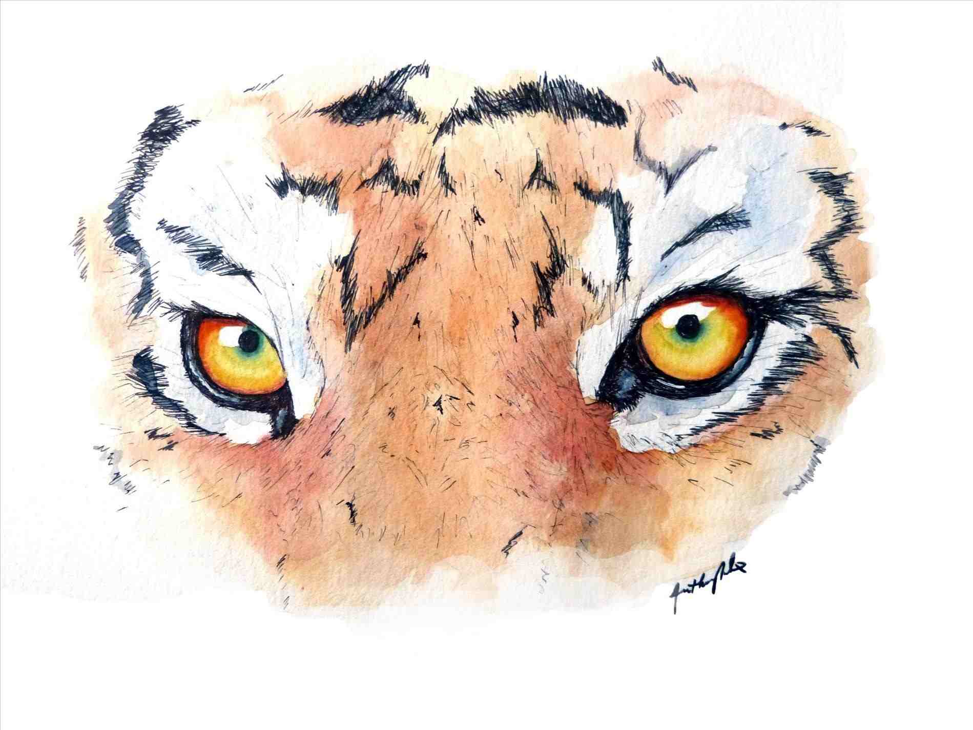 1899x1424 Tes Teachrhtescom Speed Painting Of A Tiger Realistic Time Lapse