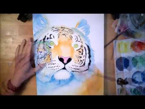 480x360 The Tiger Watercolor Painting Process Time Lapse
