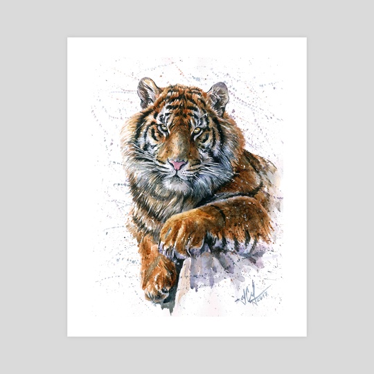 540x540 Tiger Watercolor, An Art Print By Konstantin Kalinin