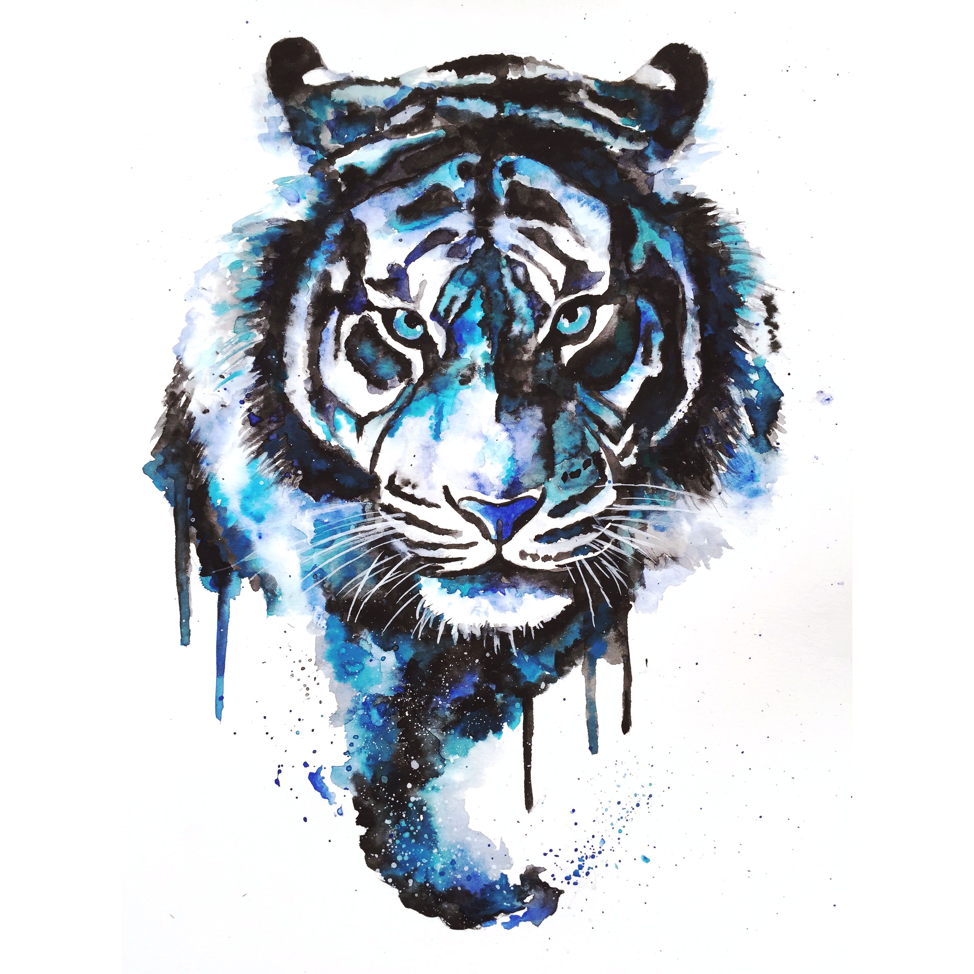 3264x3264 Tigres Art, Drawings Amp Illustrations Blue Tigers