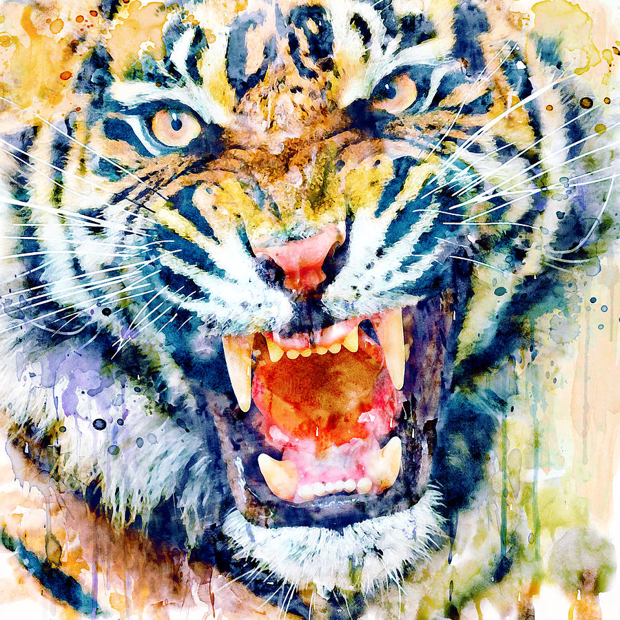 900x900 Angry Tiger Watercolor Close Up Painting By Marian Voicu