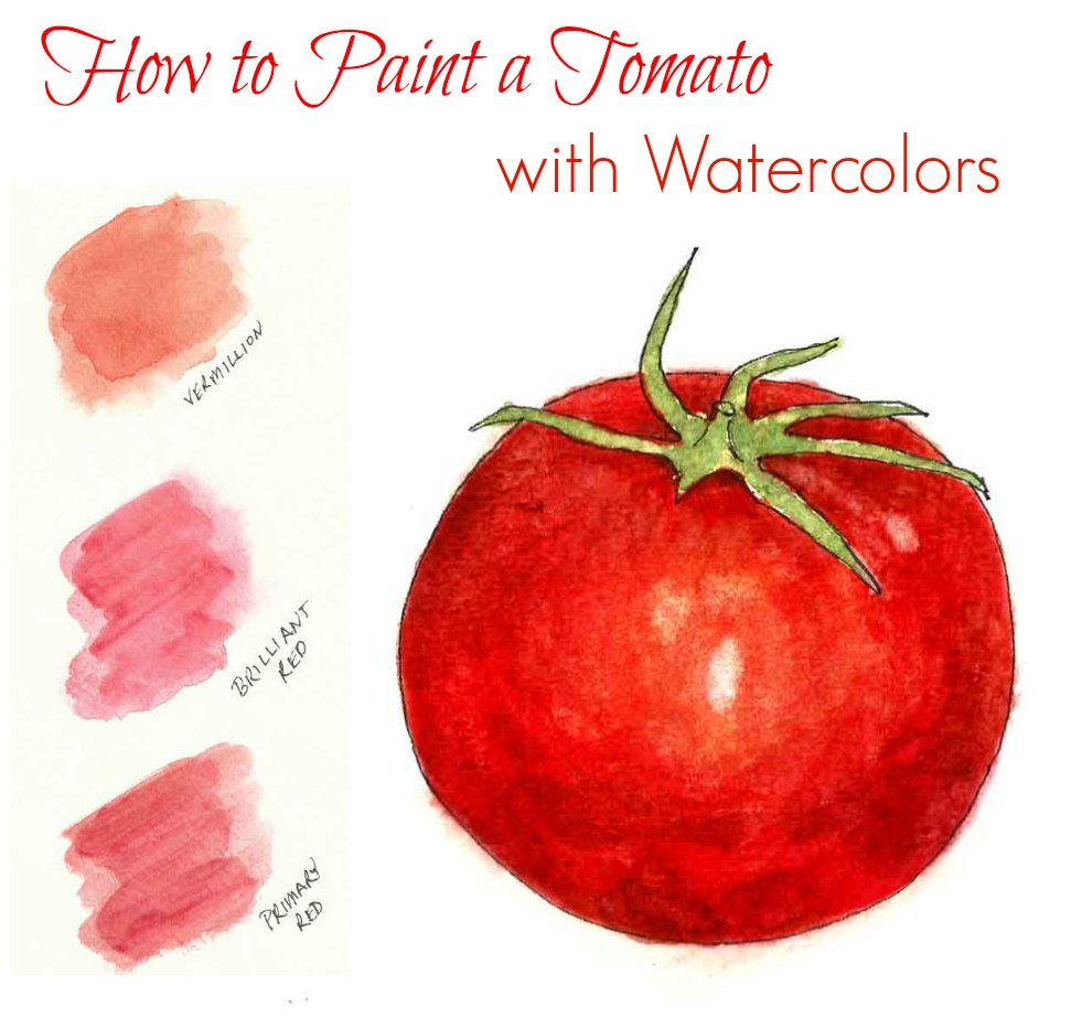 981x922 How To Paint A Tomato With Watercolors