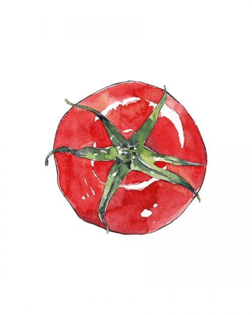 500x625 Tomato