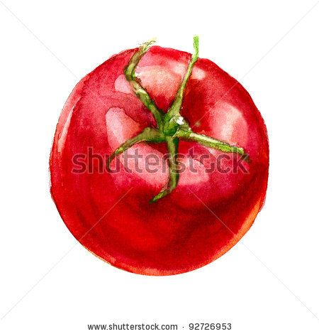 450x470 Tomato Watercolor Paintings Tomato. Watercolor Painting On White