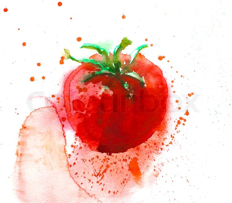 800x701 Tomato Watercolor Style Stock Photo Colourbox