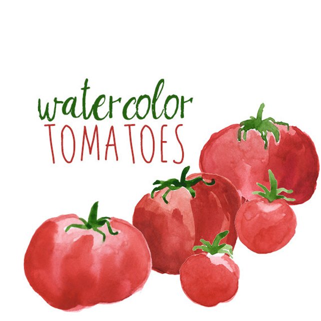642x642 Watercolor Tomatoes Clip Art Set Veggies Watercolor Etsy
