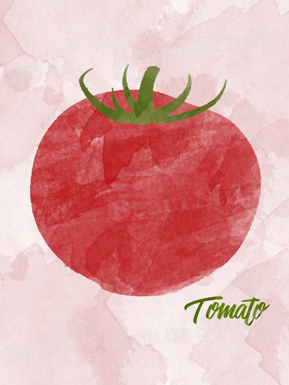 570x760 Tomato Art Print Tomato Watercolor Gift For Cook Tomato Etsy