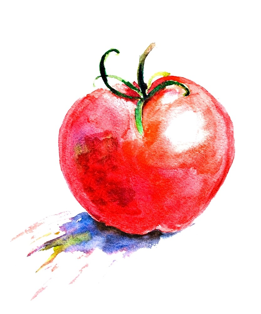 833x1000 Watercolor Tomato By Thebagindaz Redbubble