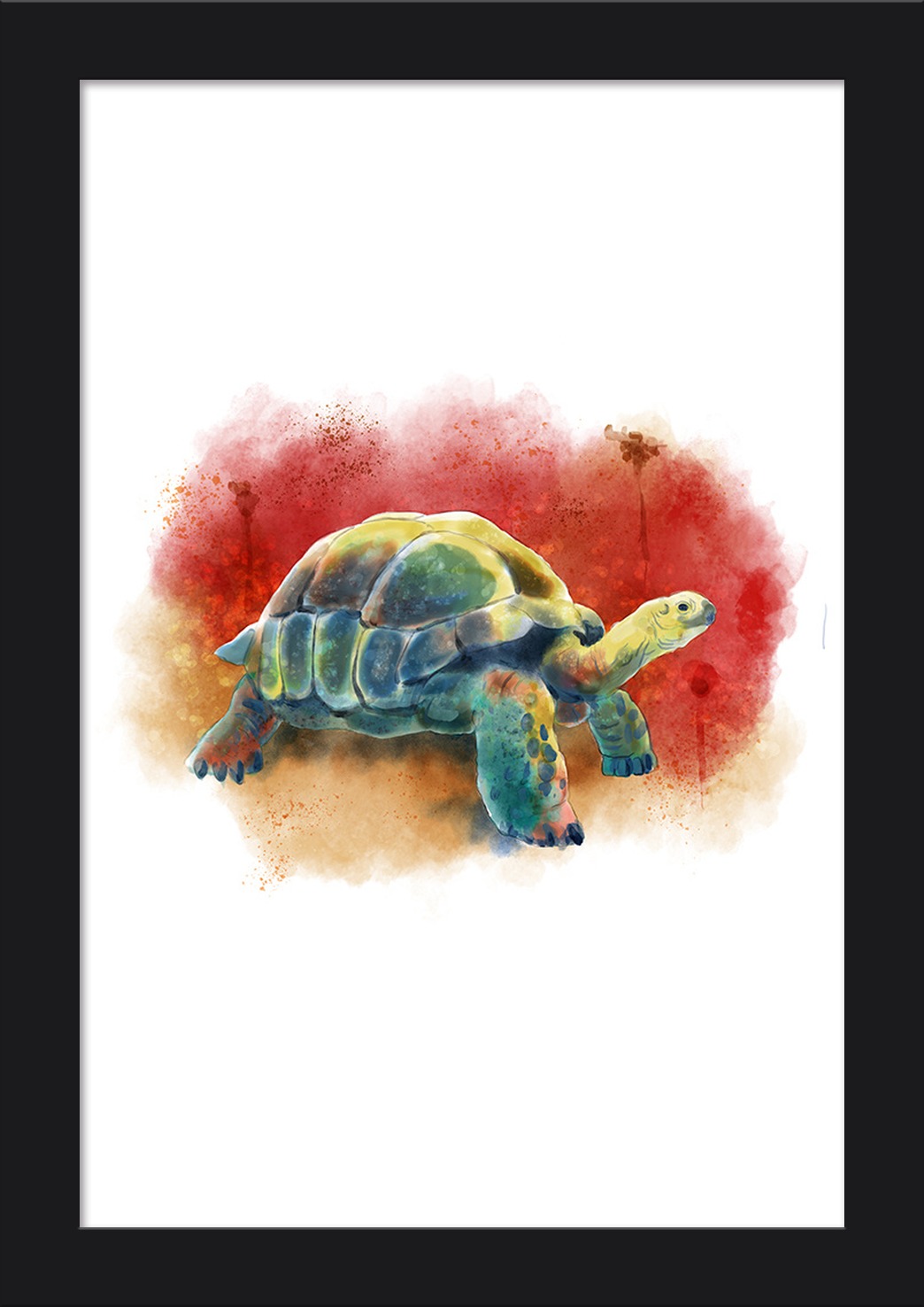 1044x1476 Tortoise