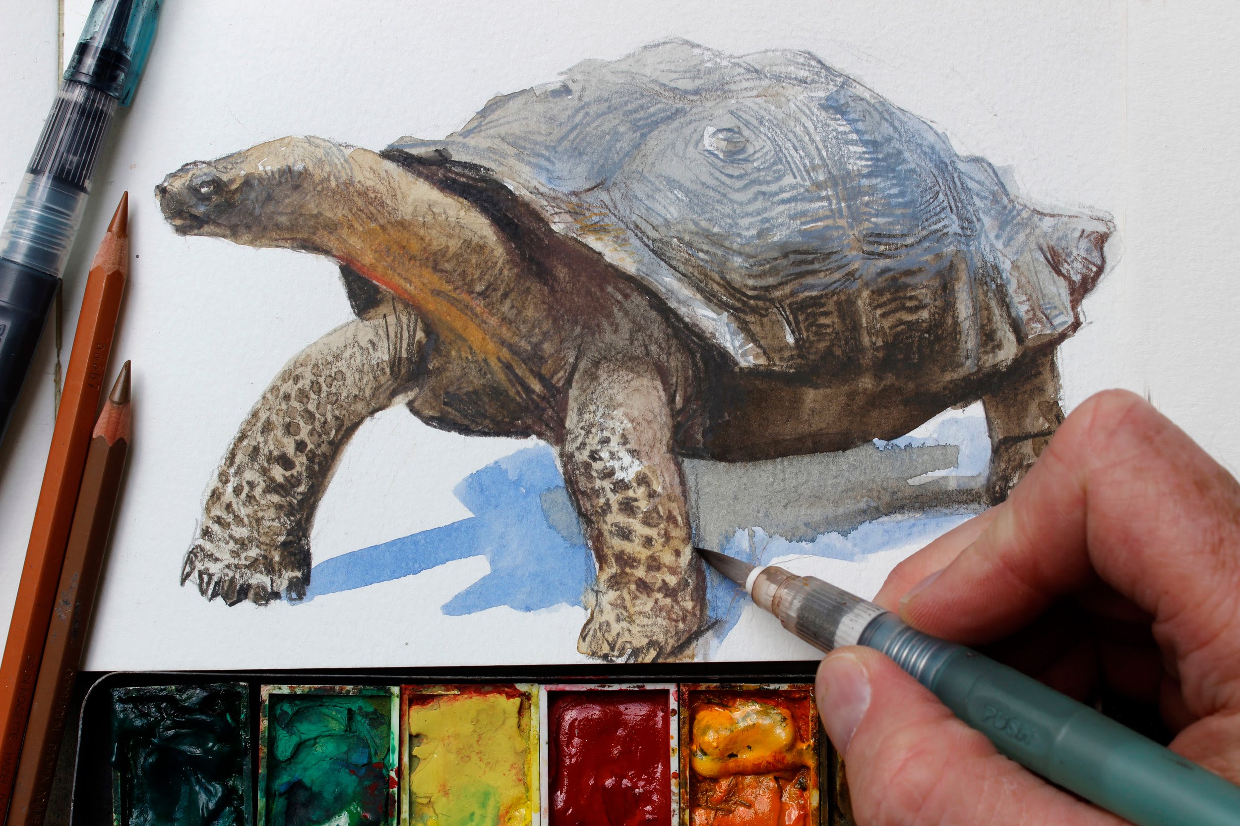 2500x1667 Watercolor + Colored Pencils = Fast, Realistic Textures
