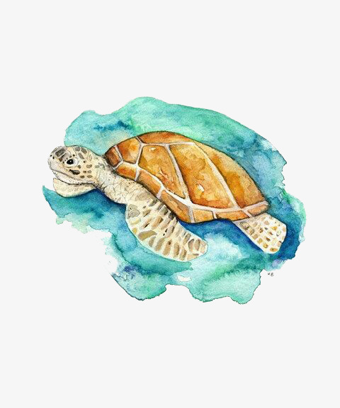 480x576 Watercolor Cute Tortoise, Watercolor Clipart, Cute Clipart