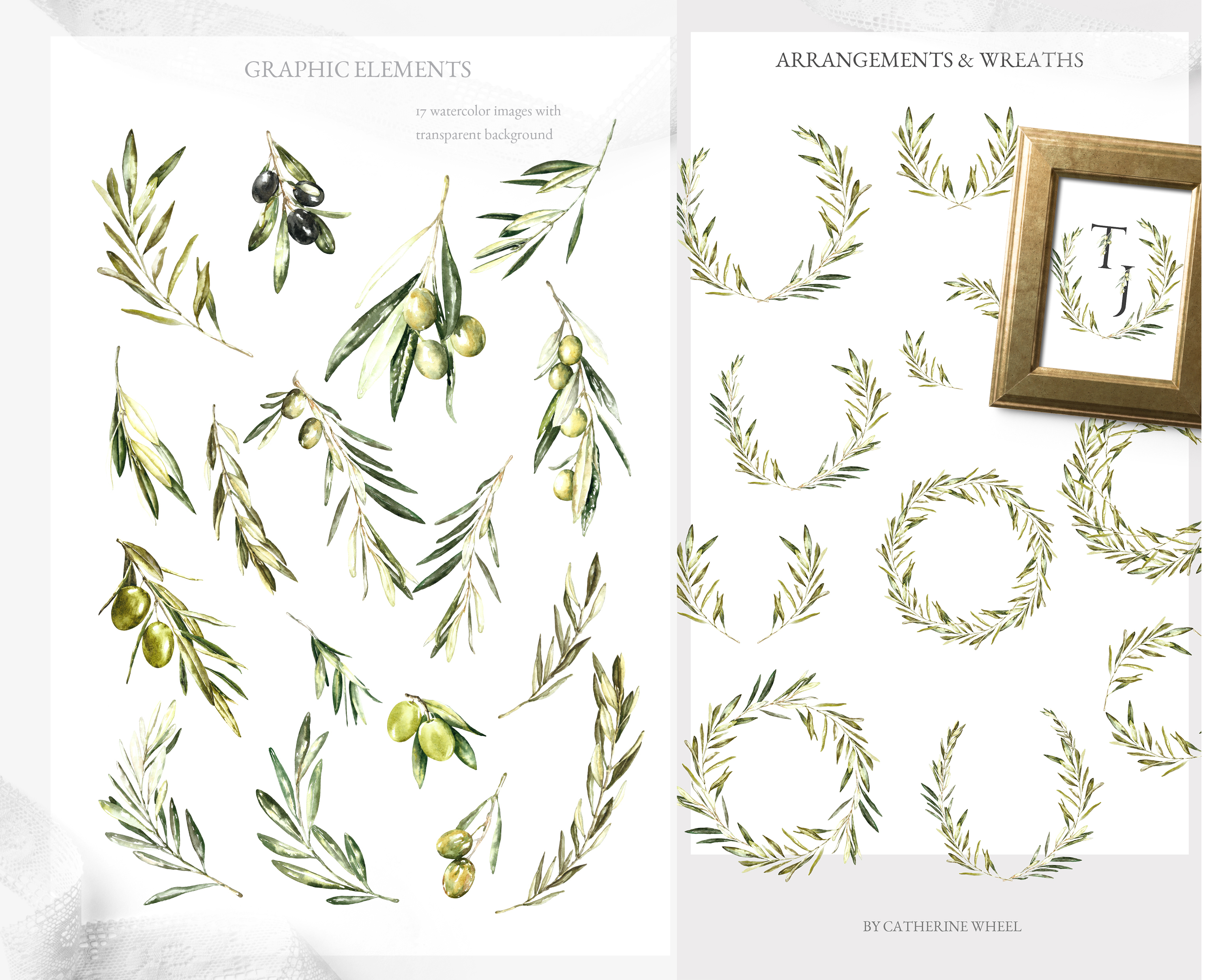 3053x2482 Grace Amp Glory Botanical Alphabet Olive Watercolor