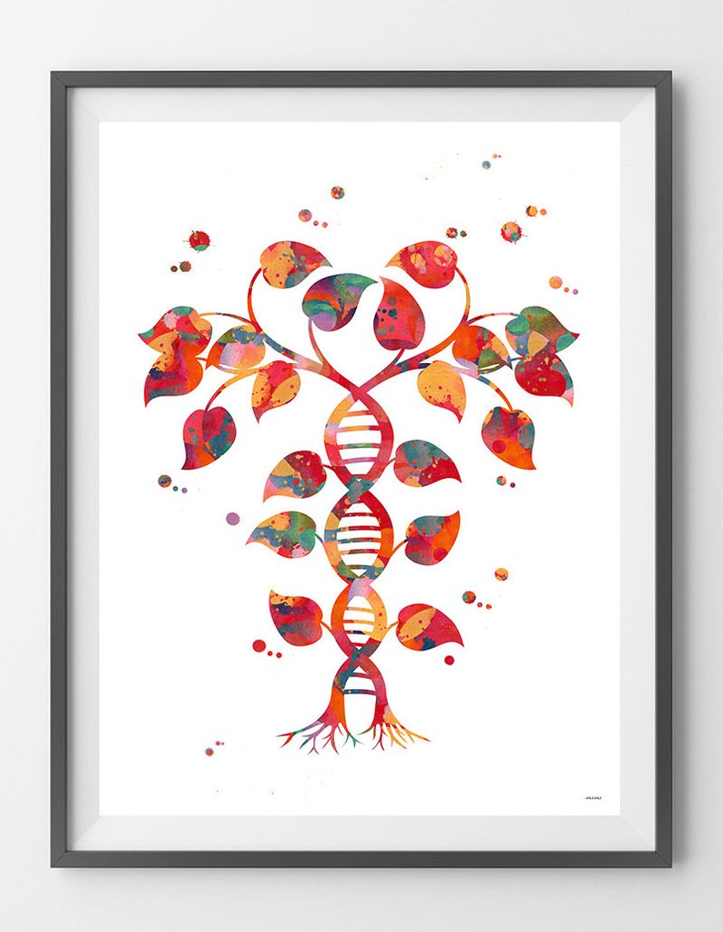 794x1024 Dna Tree Of Life Watercolor Print Mimiprints