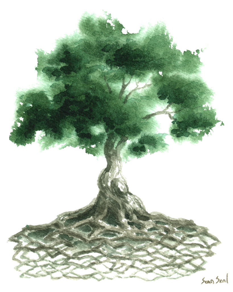 819x1024 Tree Of Life By Sean Seal