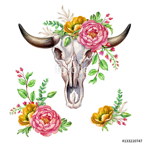 500x500 Watercolor Boho Illustration, Tribal, Cow Head Skull, Floral